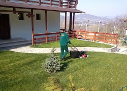 Intretinere spatii verzi