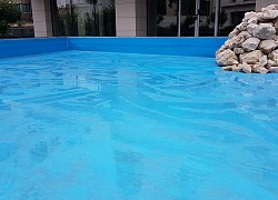 Amenajare si plantare